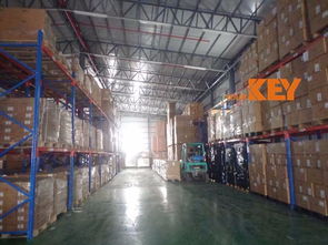 香港仓储服务新选择 本地派送与国际中转一站式解决方案